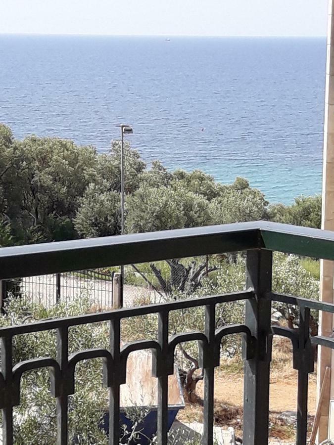 Cozy Apartment Fantastic View 尼亚·蒙达尼亚 外观 照片
